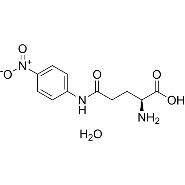 L-γ-Glutamyl-p-nitroanilide hydrate 122864-94-2